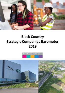 Black Country Strategic Companies Barometer 2019