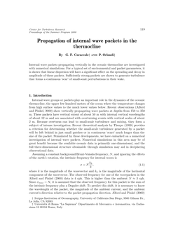 Propagation of Internal Wave Packets in the Thermocline