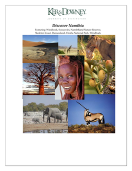 Discover Namibia Featuring: Windhoek, Sossusvlei, Namibrand Nature Reserve, Skeleton Coast, Damaraland, Etosha National Park, Windhoek