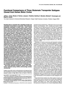 Functional Comparisons of Three Glutamate Transporter Subtypes Cloned from Human Motor Cortex