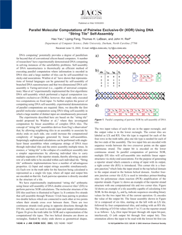 (XOR) Using DNA “String Tile” Self-Assembly Hao Yan,* Liping Feng, Thomas H