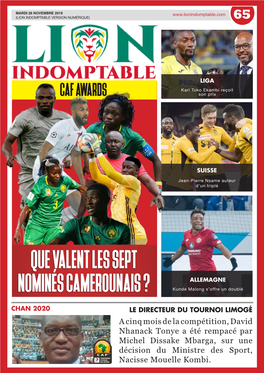 Que Valent Les Sept Nominés Camerounais ?