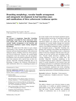 Branching Morphology, Vascular Bundle Arrangement and Ontogenetic Development in Leaf Insertion Zones and Ramiﬁcations of Three Arborescent Araliaceae Species