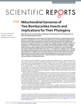 Mitochondrial Genomes of Two Bombycoidea Insects and Implications for Their Phylogeny