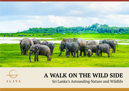 A WALK on the WILD SIDE Sri Lanka’S Astounding Nature and Wildlife Explore the Natural Treasures of This Compact Yet Incredibly Diverse Island Nation