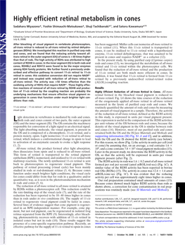 Highly Efficient Retinal Metabolism in Cones