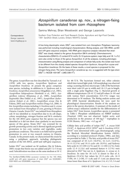 Azospirillum Canadense Sp. Nov., a Nitrogen-Fixing Bacterium Isolated