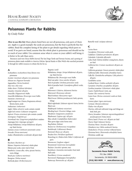 Poisonous Plants for Rabbits by Cindy Fisher