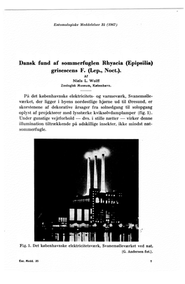 Dansk Fund Af Sommerfuglen Rhyacia (Epipsilia) Grisescens F. (Lep., Noct.). Af Niels L