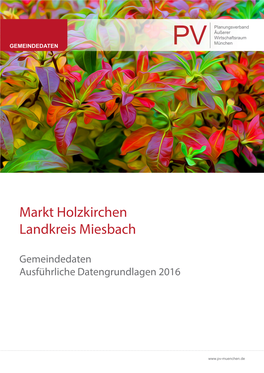 Markt Holzkirchen Landkreis Miesbach