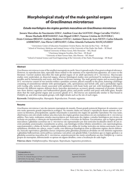 Morphological Study of the Male Genital Organs of Gracilinanus Microtarsus