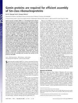 Gemin Proteins Are Required for Efficient Assembly of Sm-Class Ribonucleoproteins