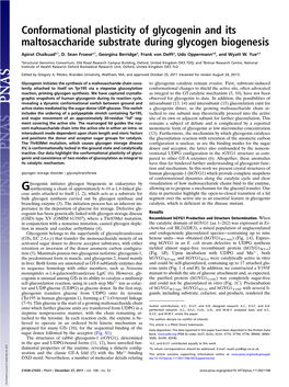 Conformational Plasticity of Glycogenin and Its Maltosaccharide Substrate During Glycogen Biogenesis