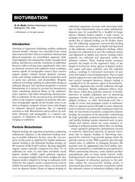 Bioturbation