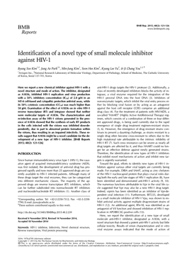 Identification of a Novel Type of Small Molecule Inhibitor Against HIV-1