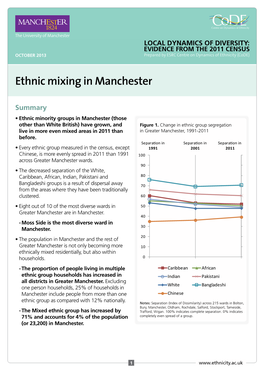 Ethnic Mixing in Manchester