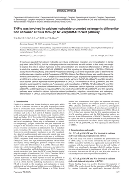 TNF-Î± Was Involved in Calcium Hydroxide-Promoted Osteogenic