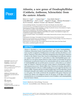 Atlantia, a New Genus of Dendrophylliidae (Cnidaria, Anthozoa, Scleractinia) from the Eastern Atlantic