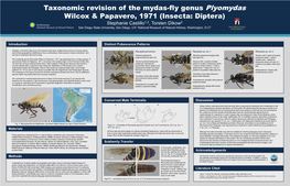 Taxonomic Revision of the Mydas-Fly Genus Plyomydaswilcox