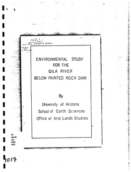 Environmental Study for the Gila River Below Painted Rock Dam