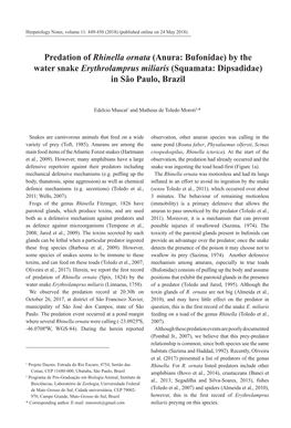 Predation of Rhinella Ornata (Anura: Bufonidae) by the Water Snake Erythrolamprus Miliaris (Squamata: Dipsadidae) in São Paulo, Brazil