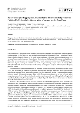 Review of the Planthopper Genus Amasha Medler (Hemiptera: Fulgoromorpha: Flatidae: Phyllyphantini) with Description of One New Species from China