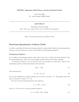 Functional Quantization of Spinor Fields