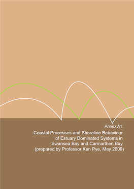 Coastal Processes and Shoreline Behaviour of Estuary Dominated Systems in Swansea Bay and Carmarthen Bay