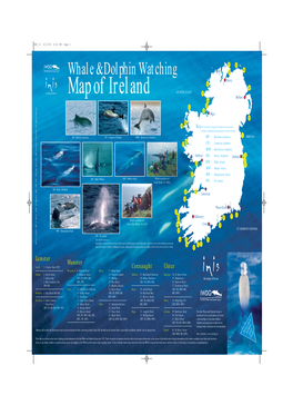 Map of Ireland ATLANTIC OCEAN 35 Belfast 34 31 33 32 Sligo 42 30 29 Keyof the Most Frequently Observed Cetaceans (Whales, Dolphins & Porpoises) in Irish Waters