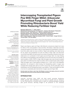 Intercropping Transplanted Pigeon Pea with Finger Millet: Arbuscular