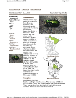 Cicindela Denikei Brown, 1934 Laurentian Tiger Beetle