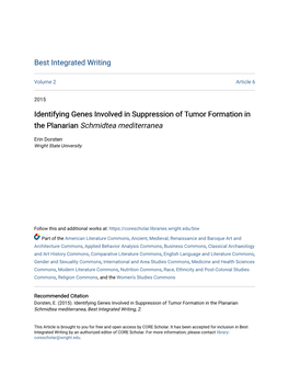 Identifying Genes Involved in Suppression of Tumor Formation in the Planarian Schmidtea Mediterranea