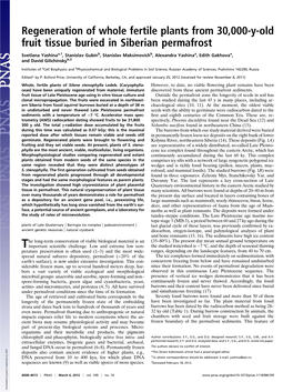 Regeneration of Whole Fertile Plants from 30,000-Y-Old Fruit Tissue Buried in Siberian Permafrost