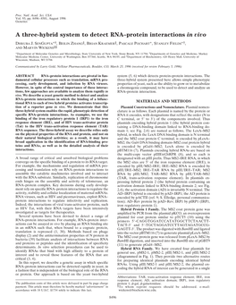 A Three-Hybrid System to Detect RNA–Protein Interactions in Vivo