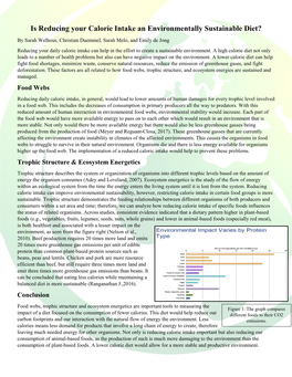 Is Reducing Your Calorie Intake an Environmentally Sustainable Diet?