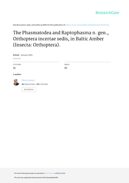 The Phasmatodea and Raptophasma N. Gen., Orthoptera Incertae Sedis, in Baltic Amber (Insecta: Orthoptera)