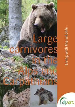 Large Carnivores in the Alps and Carpathians