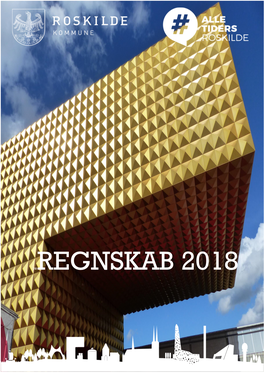 Regnskabspublikation 2018