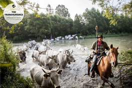 THE TRANSHUMANCE ©Massimo Di Nonno Santa Croce Di Magliano (Campobasso)