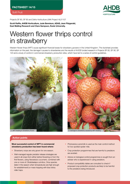 Western Flower Thrips Control in Strawberry