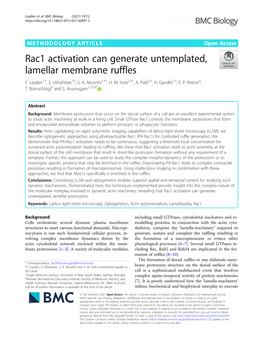 Rac1 Activation Can Generate Untemplated, Lamellar Membrane Ruffles F