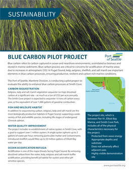 Blue Carbon Pilot Program Fact Sheet