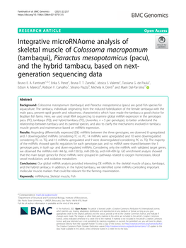 Integrative Micrornaome Analysis of Skeletal Muscle of Colossoma Macropomum (Tambaqui), Piaractus Mesopotamicus (Pacu), And