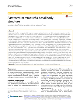 Paramecium Tetraurelia Basal Body Structure Anne‑Marie Tassin*, Michel Lemullois and Anne Aubusson‑Fleury