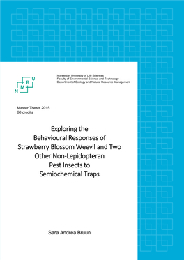 Exploring the Behavioural Responses of Strawberry Blossom Weevil and Two Other Non-Lepidopteran Pest Insects to Semiochemical Traps