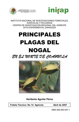 Principales Plagas Del Nogal En El Norte De Coahuila