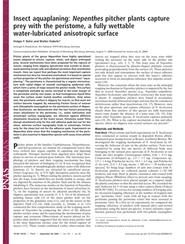 Nepenthes Pitcher Plants Capture Prey with the Peristome, a Fully Wettable Water-Lubricated Anisotropic Surface