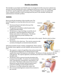 Shoulder Instability Anatomy