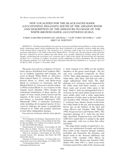 Leucopternis Melanops) South of the Amazon River and Description of the Immature Plumage of the White-Browed Hawk (Leucopternis Kuhli)