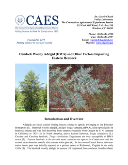 Hemlock Woolly Adelgid Facsheet Dec 2018